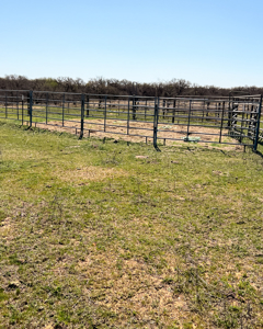 Charming Ranch with Two-Story Home on 48 Acres Near De Leon, Texas - image 40
