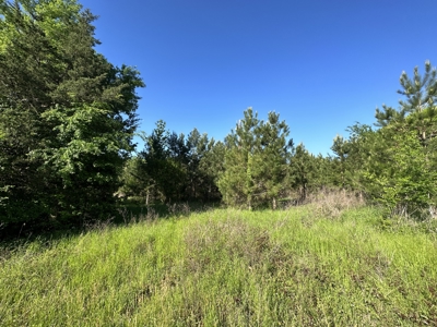 East Texas Commercial Land For Sale - image 25