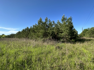 East Texas Commercial Land For Sale - image 5