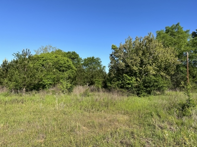 East Texas Commercial Land For Sale - image 15