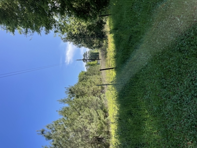 East Texas Commercial Land For Sale - image 7