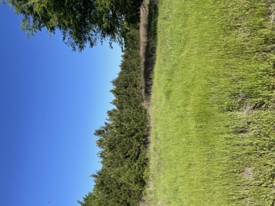 East Texas Commercial Land For Sale - image 26