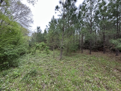 East Texas Commercial Land For Sale - image 27