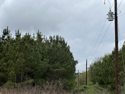 East Texas Commercial Land For Sale - image 20