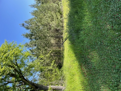 East Texas Commercial Land For Sale - image 6
