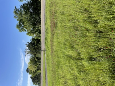 East Texas Commercial Land For Sale - image 23