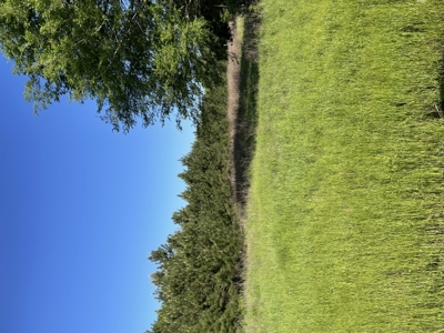 East Texas Commercial Land For Sale - image 24