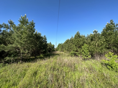 East Texas Commercial Land For Sale - image 8