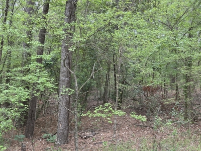 East Texas Commercial Land For Sale - image 17