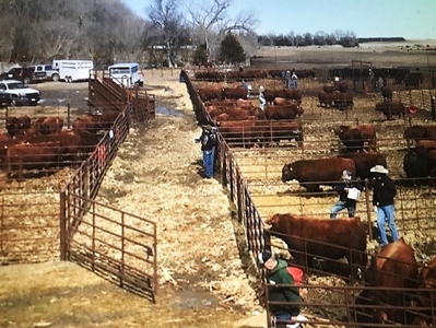 Nebraska Sandhills Farm/Ranch  With Barndominium For Sale - image 17