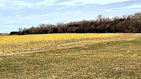 Nebraska Sandhills Farm/Ranch  With Barndominium For Sale - image 1
