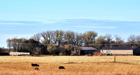Nebraska Sandhills Farm/Ranch  With Barndominium For Sale - image 5