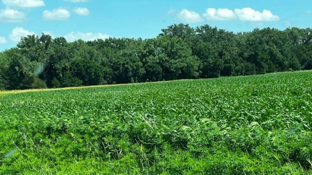 Nebraska Sandhills Farm/Ranch  With Barndominium For Sale - image 31