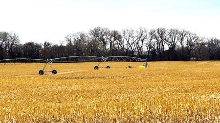 Nebraska Sandhills Farm/Ranch  With Barndominium For Sale - image 3
