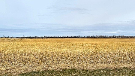 Nebraska Sandhills Farm/Ranch  With Barndominium For Sale - image 2