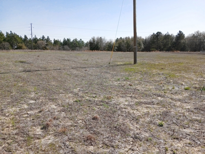 Spacious, Country, 4-Bedroom Mfg Home & Scenic Views in Mt Croghan, SC - image 12