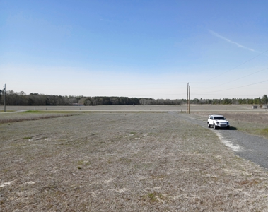 Spacious, Country, 4-Bedroom Mfg Home & Scenic Views in Mt Croghan, SC - image 3