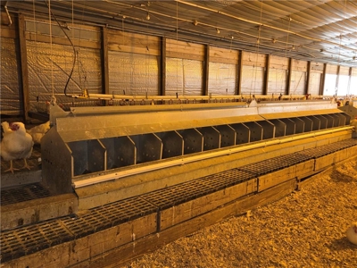 Poultry Breeder Production Farm For Sale in Coolidge, GA! - image 15