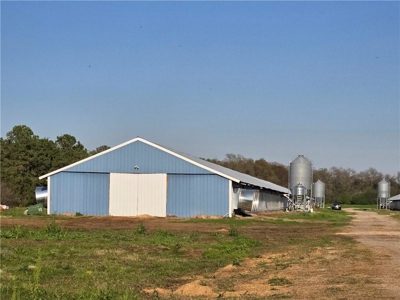 Poultry Breeder Production Farm For Sale in Coolidge, GA! - image 4