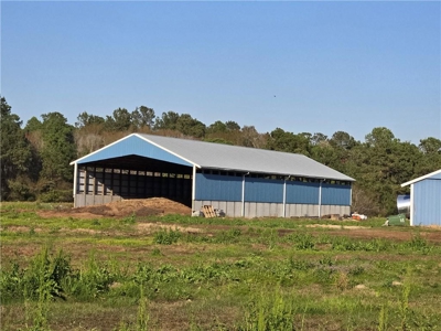 Poultry Breeder Production Farm For Sale in Coolidge, GA! - image 3