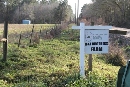 Poultry Breeder Production Farm For Sale in Coolidge, GA! - image 2