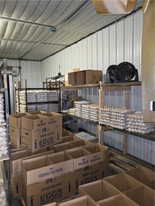 Poultry Breeder Production Farm For Sale in Coolidge, GA! - image 17