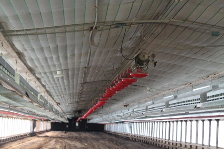 Poultry Breeder Production Farm For Sale in Coolidge, GA! - image 20