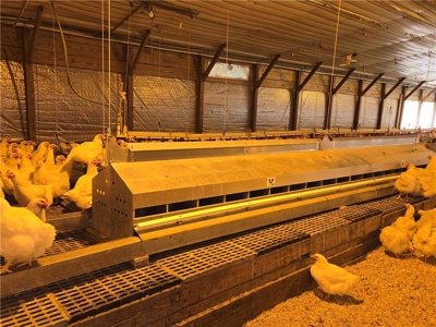 Poultry Breeder Production Farm For Sale in Coolidge, GA! - image 16