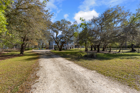 Riverfront Home On The Suwannee River Only 30 Minutes To The Gulf - image 47
