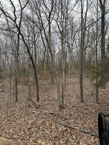 Lot For Sale in Ozark Acres, AR - image 1