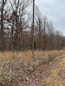 Lot For Sale in Ozark Acres, AR - image 2