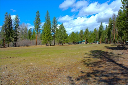 Stunning 20 Acre Horse Property in Plains  MT - image 8