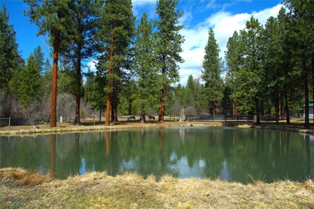 Stunning 20 Acre Horse Property in Plains  MT - image 14