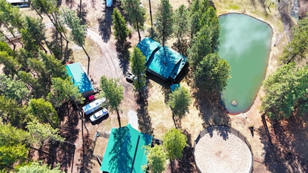 Stunning 20 Acre Horse Property in Plains  MT - image 6
