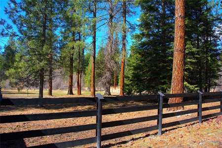 Stunning 20 Acre Horse Property in Plains  MT - image 22