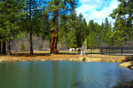 Stunning 20 Acre Horse Property in Plains  MT - image 13