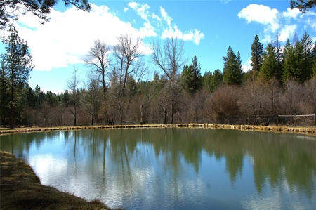 Stunning 20 Acre Horse Property in Plains  MT - image 16