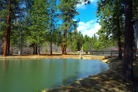 Stunning 20 Acre Horse Property in Plains  MT - image 15