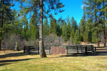 Stunning 20 Acre Horse Property in Plains  MT - image 30