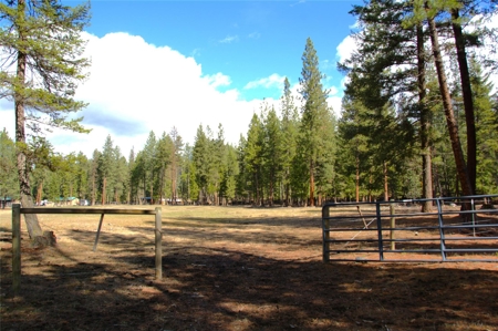 Stunning 20 Acre Horse Property in Plains  MT - image 7