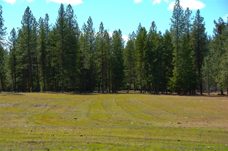 Stunning 20 Acre Horse Property in Plains  MT - image 17
