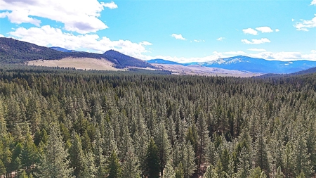 Stunning 20 Acre Horse Property in Plains  MT - image 3