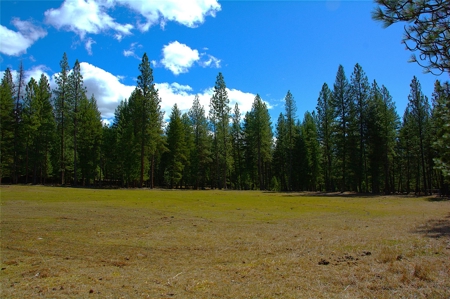 Stunning 20 Acre Horse Property in Plains  MT - image 10