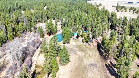 Stunning 20 Acre Horse Property in Plains  MT - image 4