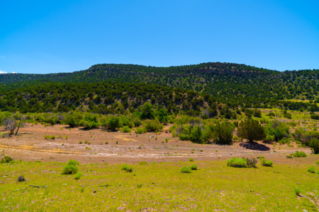 Colorado Log Home On 60 Acres With Shop Bordering Blm For 2900' - image 23