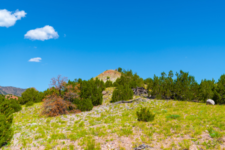 Colorado Log Home On 60 Acres With Shop Bordering Blm For 2900' - image 20