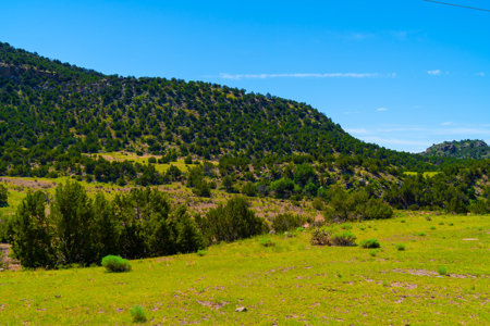 Colorado Log Home On 60 Acres With Shop Bordering Blm For 2900' - image 19
