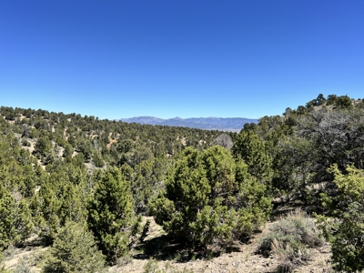 Nevada Residential Recreational Treed Mountain Land For Sale Ely, Nevada - image 7
