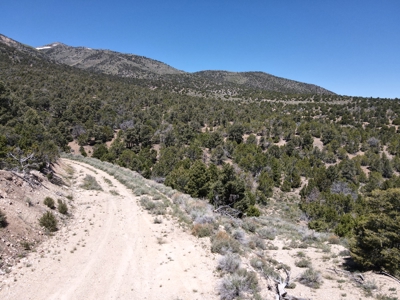 Nevada Residential Recreational Treed Mountain Land For Sale Ely, Nevada - image 3