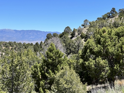 Nevada Residential Recreational Treed Mountain Land For Sale Ely, Nevada - image 11